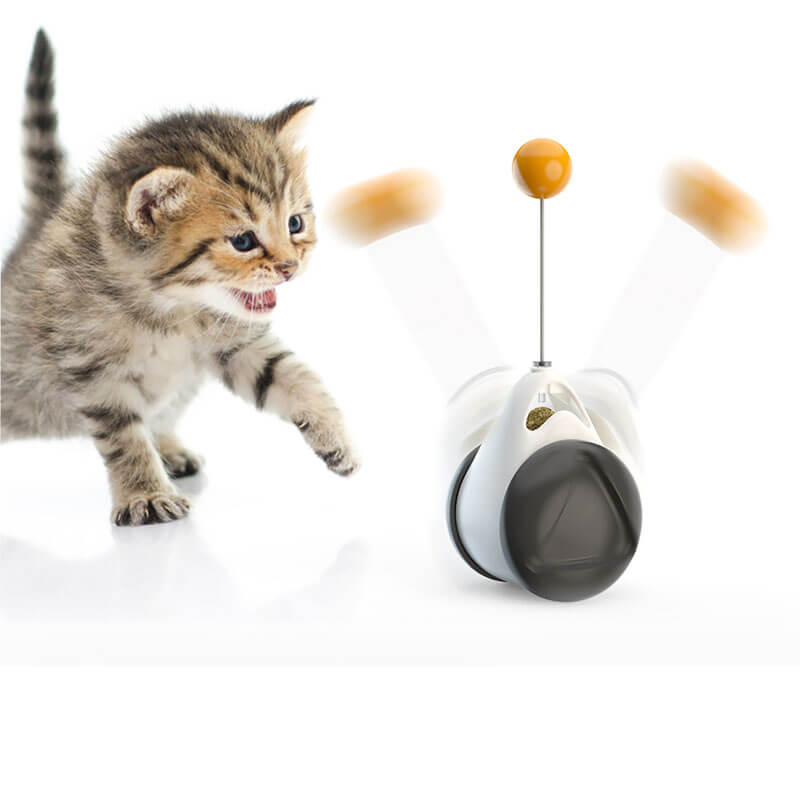 Cat Toys Interactive for Indoor cats