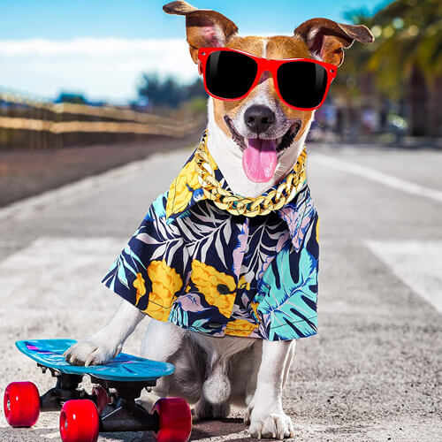 Dog Clothes | Dog Hawaiian Shirt | Dog Shirts With Dog Necklace