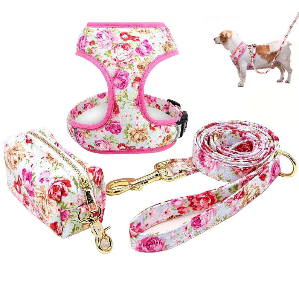Dog Harness Cute Printed Dog Harness Leash Set Soft Mesh Pet Puppy Cat Harness Adjustable Walking Lead