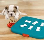 Pet Casino Treasure Hunt Puzzle Food Spill Toy - Image 4