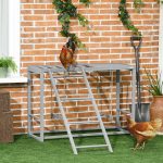 Chicken Activity Game With Swing Set For 3-4 Birds, - Image 7