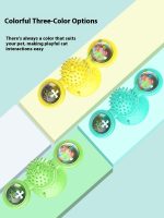 Cat Entertainment Set- Interactive Rotating Disk, Feather Teasers, Tumbler - Image 2