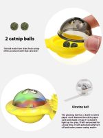 Cat Entertainment Set- Interactive Rotating Disk, Feather Teasers, Tumbler - Image 6