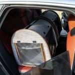 Portable Soft-sided Pet Cat Carrier With Divider, Two Compartments, Padded And Storage Bag, Grey - Image 5