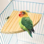 Fan-shaped Parrot Wooden Stand Rack Bird Cage, Perch for Small Animal
