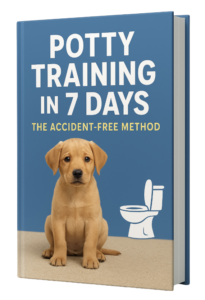 Potty Training in 7 Days: A Realistic Plan to Stop Accidents Fast (Without Harsh Methods)