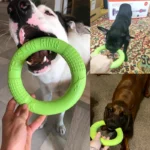 Dog Toys for Big Dogs EVA Interactive Training Ring Puller Resistant for Dogs - Image 2