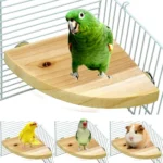 Fan-shaped Parrot Wooden Stand Rack Bird Cage, Perch for Small Animal - Image 2