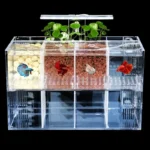 Aquarium Acrylic Fish Tank Breeding Isolation Box Goldfish Fighting - Image 2