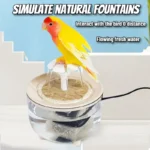 Auto Circulating 2-in-1 Parrot Bath & Pet Water Fountain, - Image 3