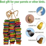 Parrot Bird Toy for Parakeets Agaponis Chewing Cardboard Destroy Birds - Image 5