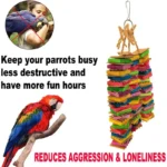 Parrot Bird Toy for Parakeets Agaponis Chewing Cardboard Destroy Birds - Image 3