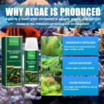 Fish Tank Cleaning Algae Tablets Tank Moss Odor Remover Water Purify Aquarium - Image 2
