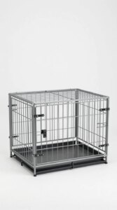 Best Pet Products for Apartments Best Pet Products for Apartments