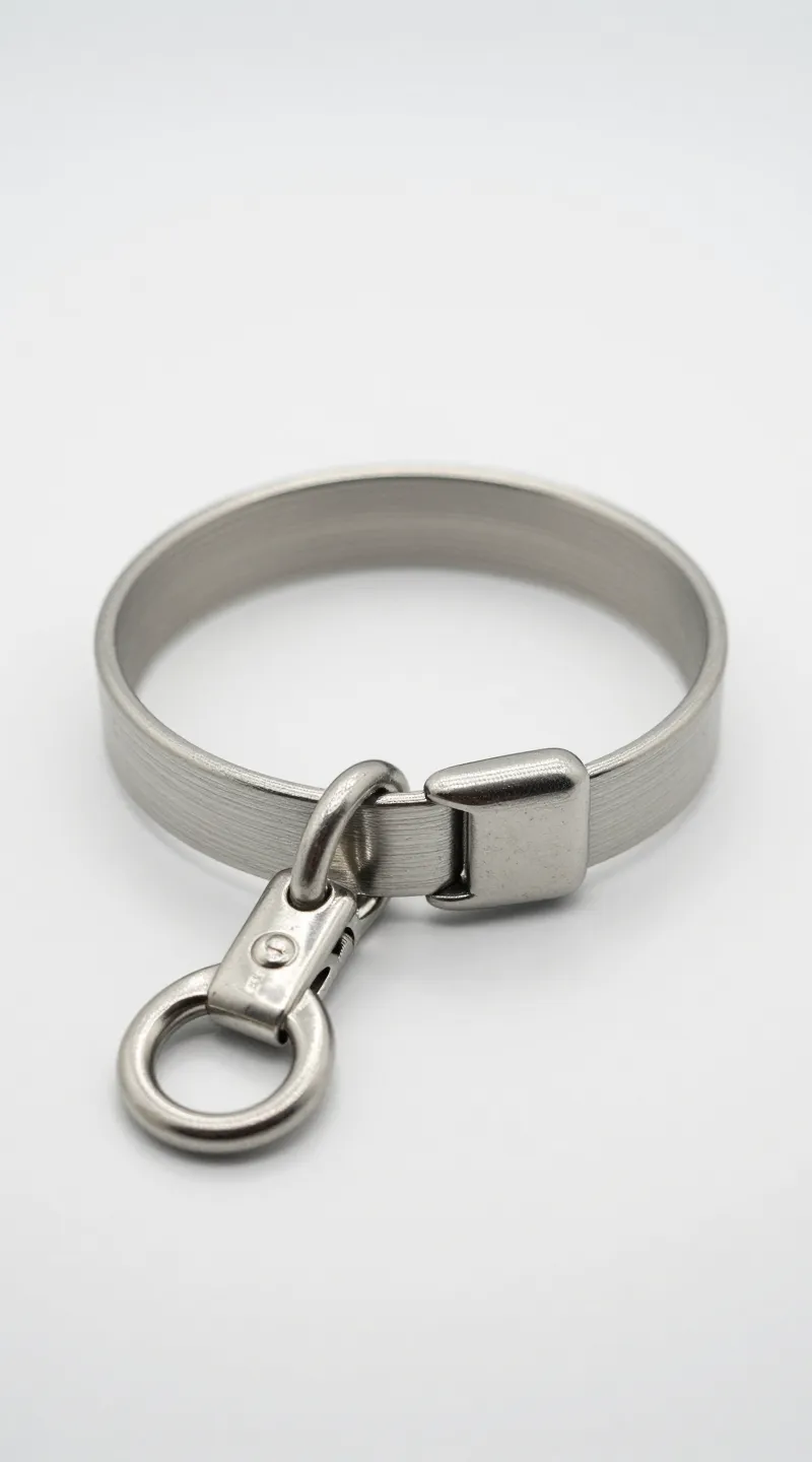 stainless steel dog collar hardware on white background, studio lighting