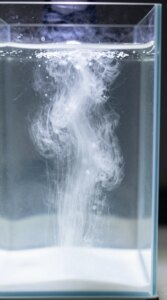 Why Is My Fish Tank Water Cloudy? Why Is My Fish Tank Water Cloudy?