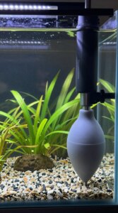 Best Fish Tank Cleaning Tools for Beginners