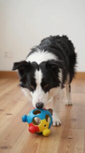 Best Toys for Dogs That Get Bored Easily