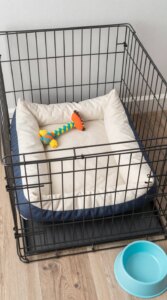 How to Train a Puppy: First 30 Days Guide